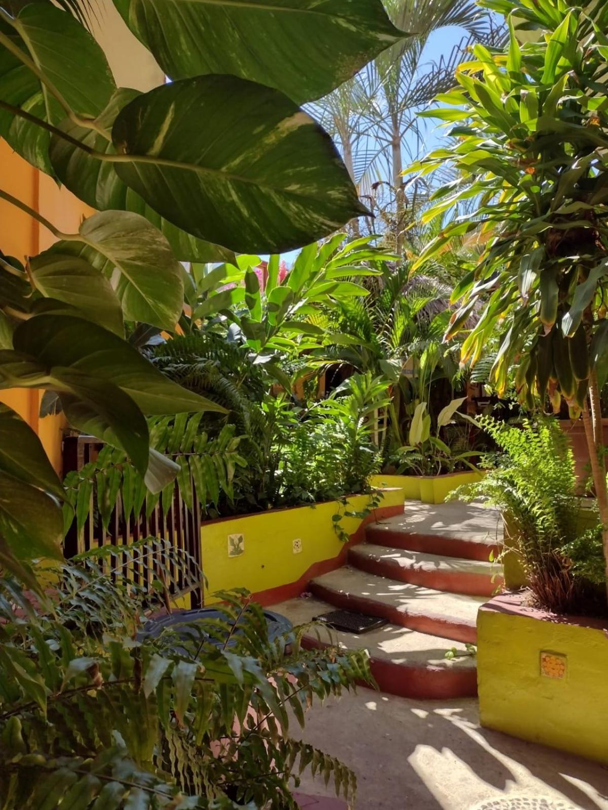 Hotel La Cabana Puerto Ángel Extérieur photo